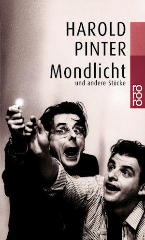 Cover for Harold Pinter · Mondlicht (Pocketbok) (2000)