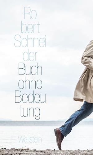 Cover for Robert Schneider · Buch ohne Bedeutung (Hardcover Book) (2022)
