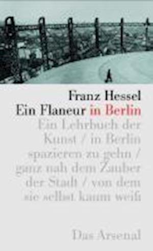 Cover for Franz Hessel · Ein Flaneur in Berlin (Taschenbuch) (2011)