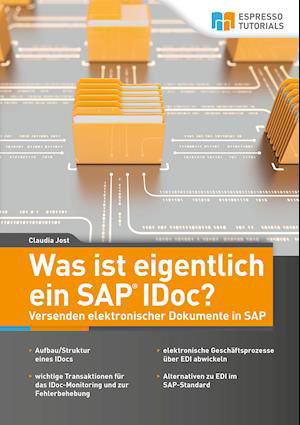 Cover for Claudia Jost · Was ist eigentlich ein SAP IDoc? Versenden elektronischer Dokumente in SAP (Paperback Book) (2020)