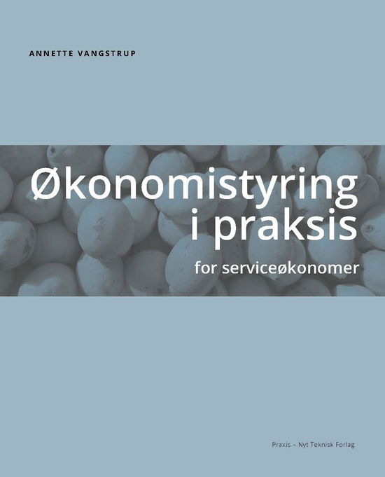 Cover for Annette Vangstrup · Økonomistyring i praksis (Book) [4. wydanie] (2020)