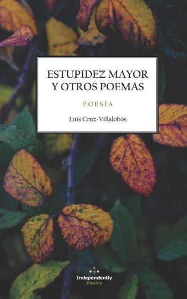 Cover for Luis Cruz-Villalobos · Estupidez Mayor Y Otros Poemas - Poesia Filosofica (Paperback Book) (2014)