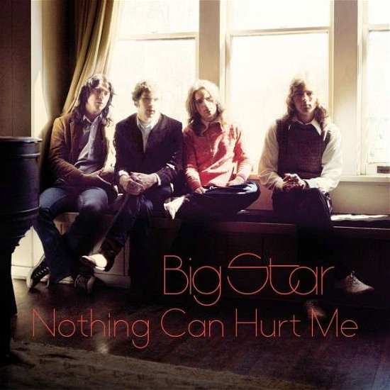 Cover for Big Star · Nothing Can Hurt Me (LP) (2013)