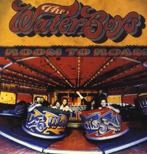 Cover for Waterboys · Room To Roam (LP) (2015)