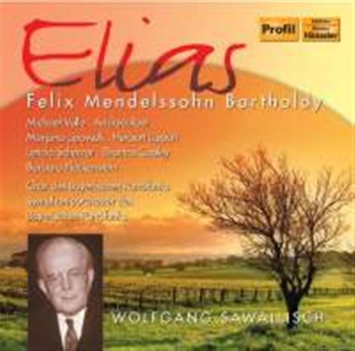 Cover for Mendelssohn / Rost / Lipovsek / Brs / Swallisch · Elias (CD) (2011)