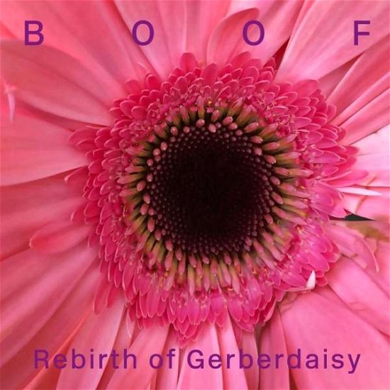 Cover for Boof · Rebirth Of Gerberdaisy (LP) (2020)