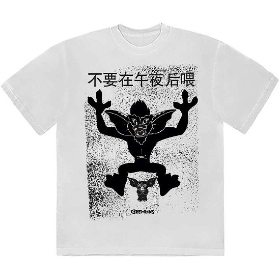 Gremlins Unisex T-Shirt: Stripe & Gizmo Japanese - Gremlins - Koopwaar -  - 5056737248951 - 