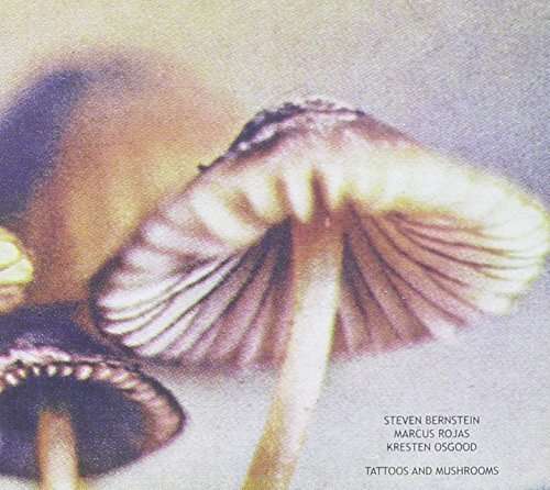 Cover for Bernstein · Tattoos &amp; Mushrooms (CD) (2009)