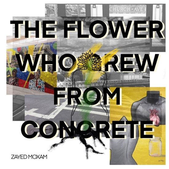 Cover for Zayed Moxam · The Flower Who Grew From Concrete (Pocketbok) (2019)
