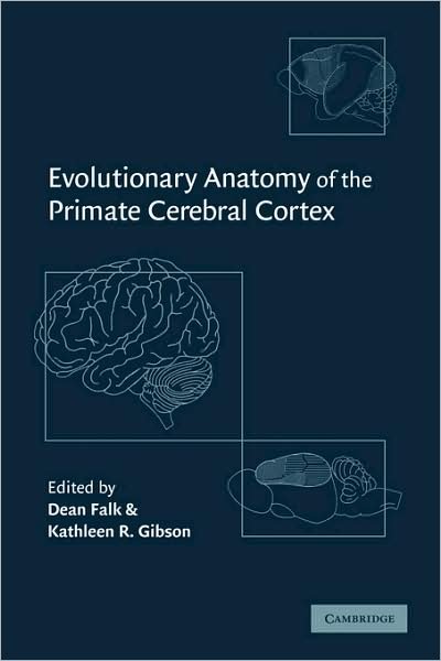 Cover for Dean Falk · Evolutionary Anatomy of the Primate Cerebral Cortex (Pocketbok) (2008)