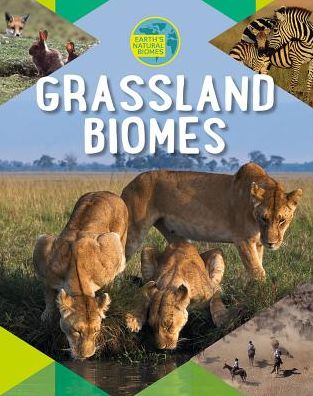 Cover for Louise Spilsbury · Grassland Biomes (Hardcover Book) (2018)