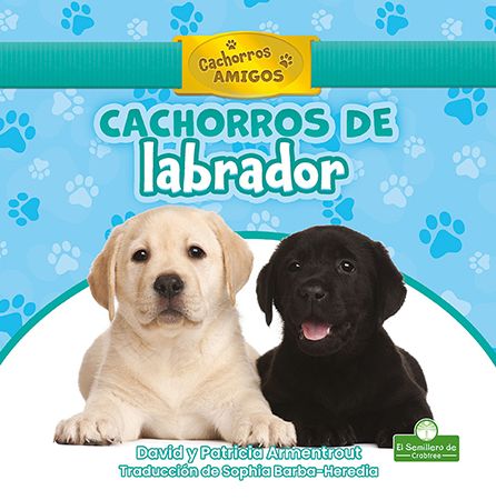 Cover for David Armentrout · Cachorros de Labrador (Hardcover Book) (2021)