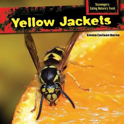 Cover for Emma Carlson Berne · Yellow jackets (Book) [First edition. edition] (2014)