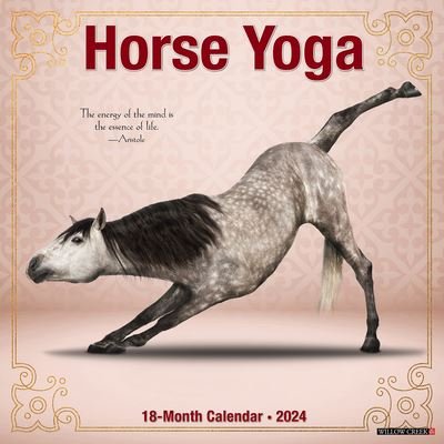 Cover for Willow Creek Press · Horse Yoga 2024 12 X 12 Wall Calendar (Calendar) (2023)