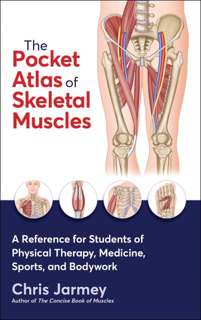 Cover for Chris Jarmey · The Pocket Atlas of Skeletal Muscles: A Reference for Students of Physical Therapy, Medicine, Sports, and Bodywork (Paperback Book) (2023)