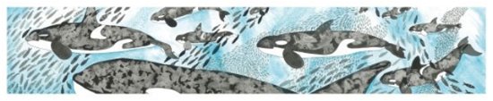 Cover for Nicola Davies · Orcas Card - Blue Heart Cards (Lernkarteikarten) (2024)