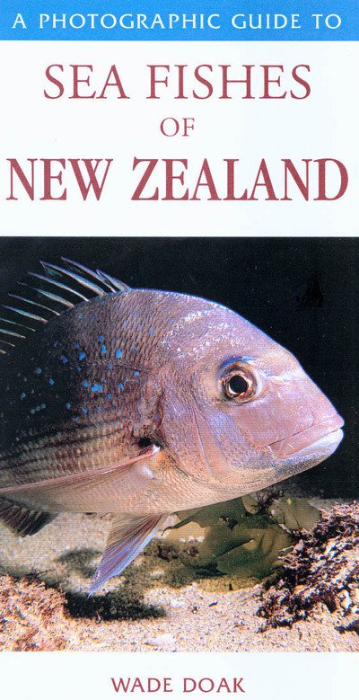 Cover for Doak Wade · Photographic Guide To Sea Fishes Of New Zealand (Paperback Bog) (2003)