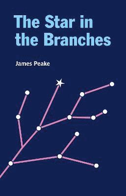 The Star in the Branches - James Peake - Books - Two Rivers Press - 9781909747951 - February 21, 2022