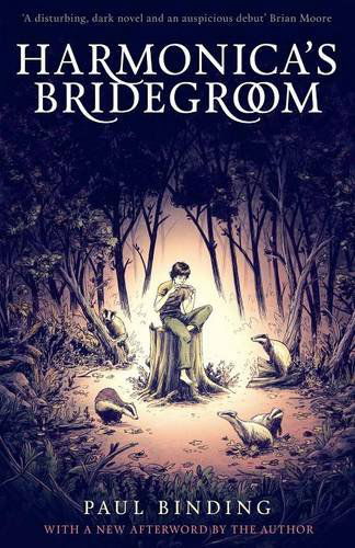 Cover for Paul Binding · Harmonica's Bridegroom (Paperback Book) (2014)