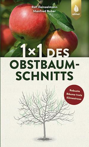 Cover for Rolf Heinzelmann · 1 x 1 des Obstbaumschnitts (Book) (2025)