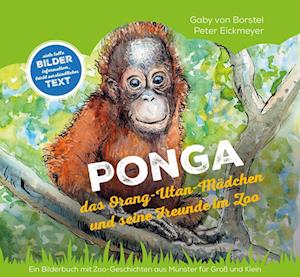 Cover for Gaby von Borstel · Ponga (Book) (2022)