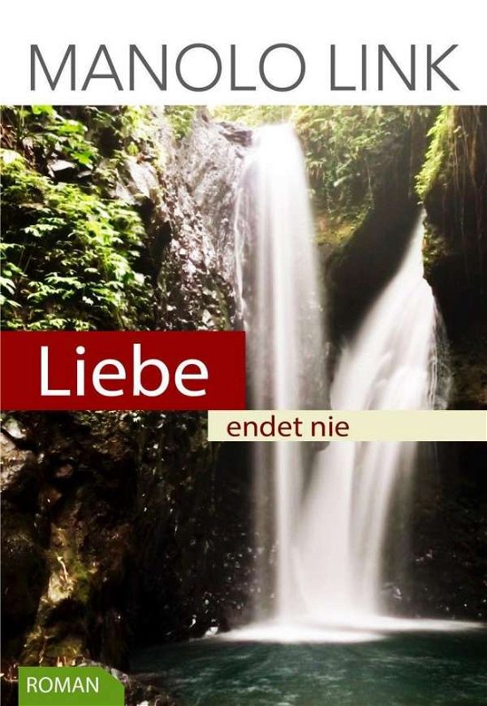 Cover for Link · Liebe endet nie (Buch)