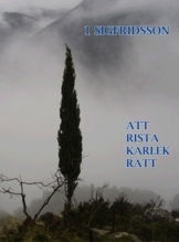 Cover for 1 Sigfridsson · Att rista kärlek rätt (Book) (2010)