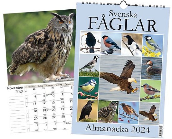 Cover for Svenska Fåglar Almanacka 2024 (Spiral Book) (2023)