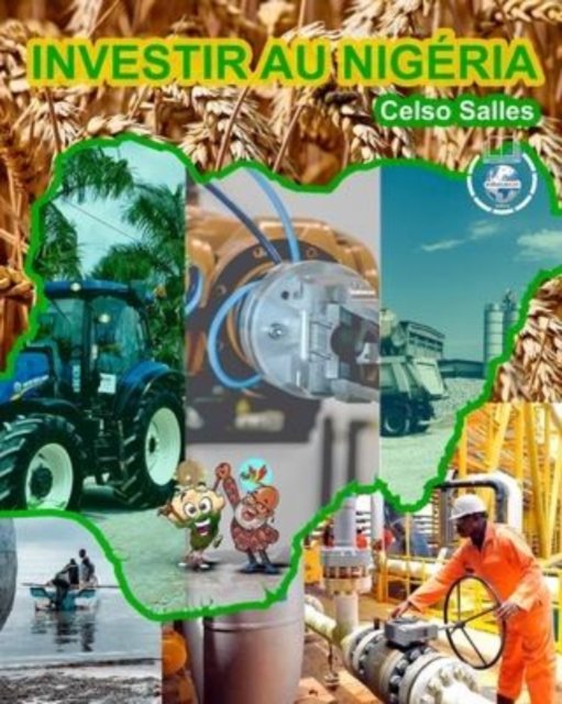 Cover for Celso Salles · INVESTIR AU NIGERIA - Celso Salles: Collection Investir en Afrique (Taschenbuch) (2022)