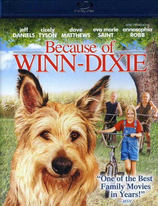 Cover for Because of Winn Dixie (Blu-ray) (2011)
