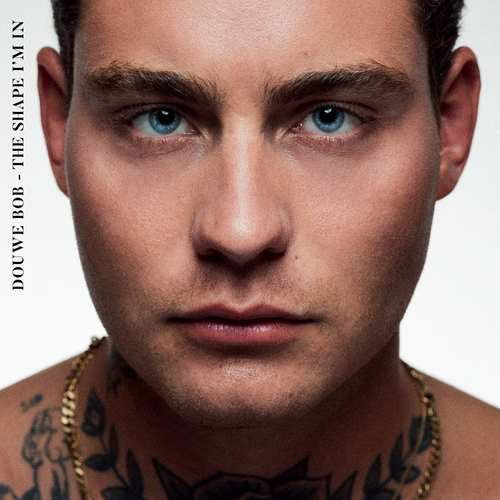 Shape I'm In - Douwe Bob - Musiikki - UNIVERSAL - 0602577083952 - tiistai 4. joulukuuta 2018