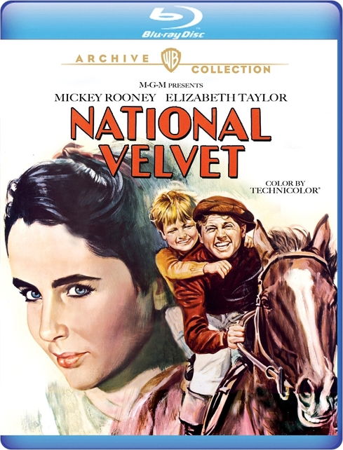 Cover for National Velvet (Blu-ray) (2021)