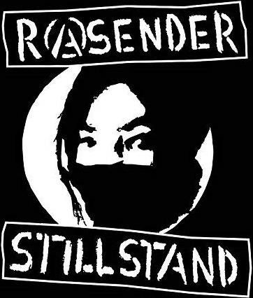 Cover for Rasender Stillstand · 100% (LP)