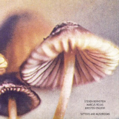 Cover for Steven Bernstein / Marcus Rojas / Kreste · Tatoos and Mushrooms (CD) (2008)