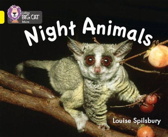 Cover for Louise Spilsbury · Night Animals: Band 03/Yellow - Collins Big Cat (Paperback Book) (2011)