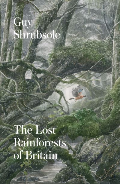 Cover for Guy Shrubsole · The Lost Rainforests of Britain (Hardcover Book) (2022)