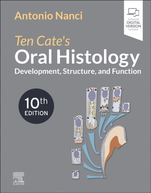 Cover for Nanci, Antonio, PhD (Professor, Faculty of Dentistry, University of Montreal, Montreal, Quebec, Canada) · Ten Cate's Oral Histology: Development, Structure, and Function (Paperback Book) (2024)