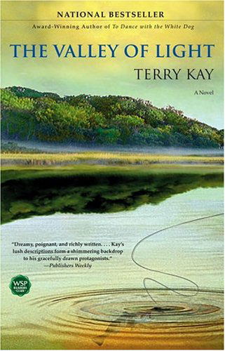 Cover for Terry Kay · The Valley of Light: a Novel (Taschenbuch) [Reprint edition] (2004)