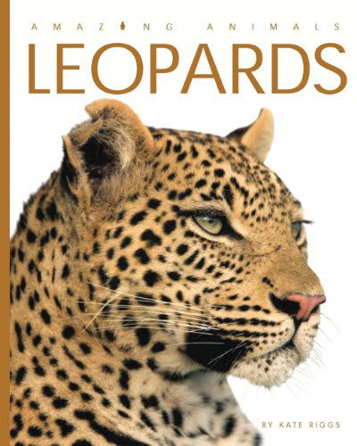 Cover for Kate Riggs · Amazing Animals: Leopards (Paperback Book) (2012)