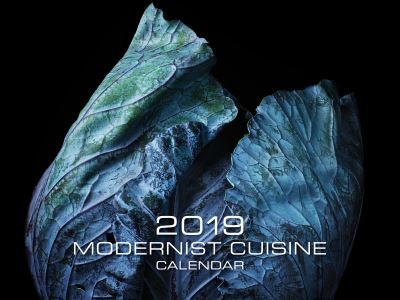 Modernist Cuisine 2019 Wall Calendar - Nathan Myhrvold - Merchandise - The Cooking Lab - 9780999292952 - October 9, 2018