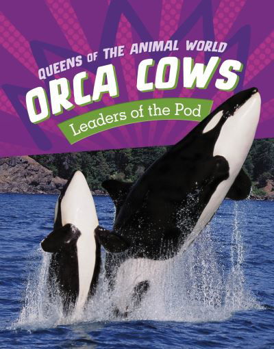 Cover for Jaclyn Jaycox · Orca Cows: Leaders of the Pod - Queens of the Animal World (Hardcover Book) (2023)