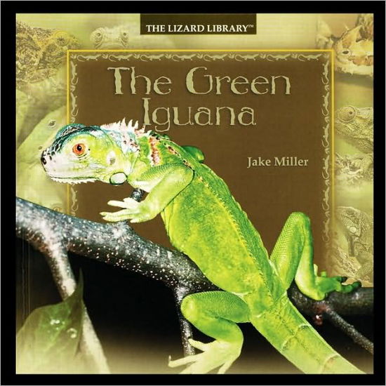 The Green Iguana - Jake Miller - Böcker - PowerKids Press - 9781435836952 - 1 augusti 2003