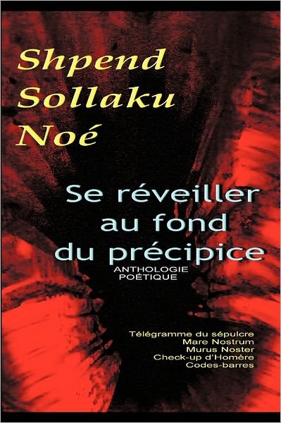 Cover for Shpend Sollaku No · Se Reveiller Au Fond Du Precipice (Pocketbok) (2011)