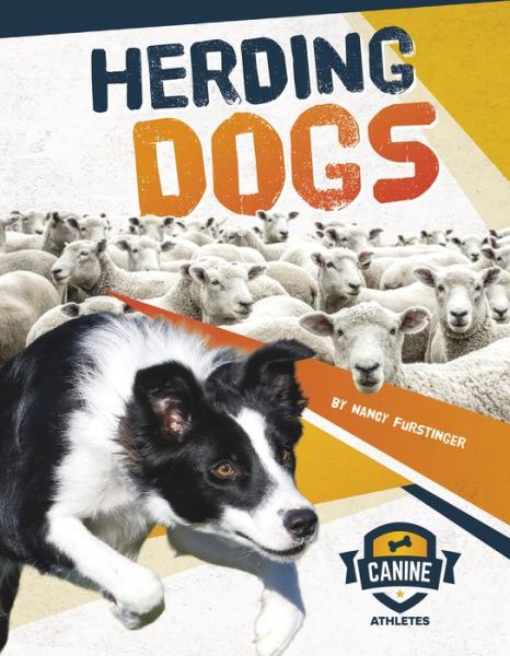 Cover for Nancy Furstinger · Herding Dogs - Canine Athletes (Paperback Book) (2019)