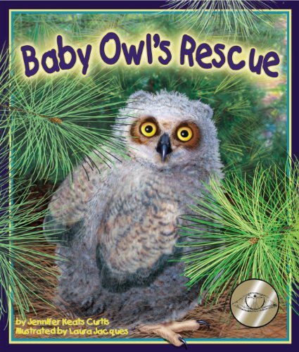 Cover for Jennifer Keats Curtis · Baby Owl's Rescue (Innbunden bok) (2009)