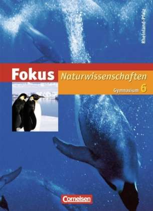 Cover for Lutz-helmut SchÃ¶n, Jochim Lichtenberger, Walter Kleesattel, Lissy JÃ¤kel, Harri Heise, Ottokar GrÃ¶nke · Fokus Naturwiss.Gym.RP 6.Sj.Schülerbuch (Buch)