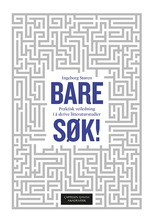 Cover for Ingeborg Støren · Bare søk! : veiledning i å gjennomføre litteraturstudier (Heftet bok) (2013)