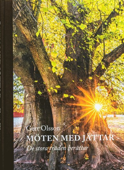 Möten med jättar : de stora träden berättar - Gert Olsson - Livros - Innature förlag - 9789151921952 - 7 de setembro de 2019