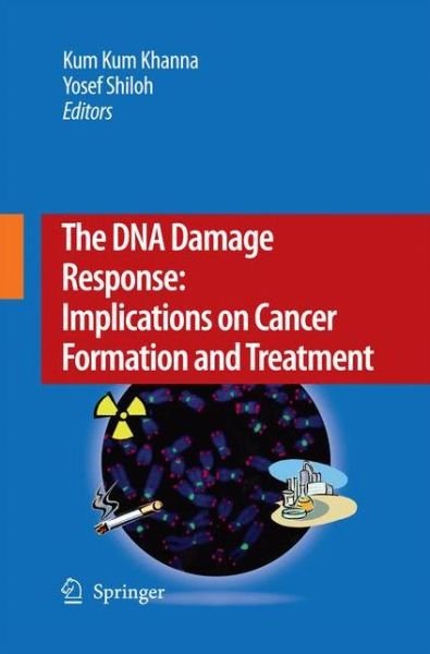 Cover for Kum Kum Khanna · The DNA Damage Response: Implications on Cancer Formation and Treatment (Paperback Book) [2009 edition] (2014)