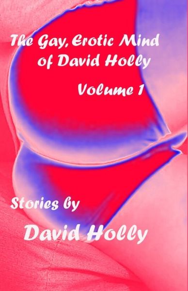 Cover for David Holly · The Gay, Erotic Mind of David Holly, Volume 1 (Paperback Book) (2020)